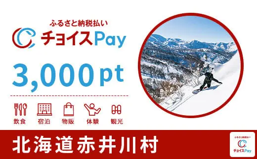 北海道赤井川村 3000pt