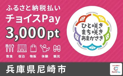 兵庫県尼崎市 3,000pt