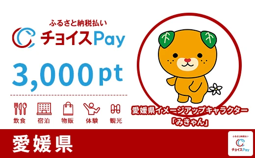 愛媛県 3000pt