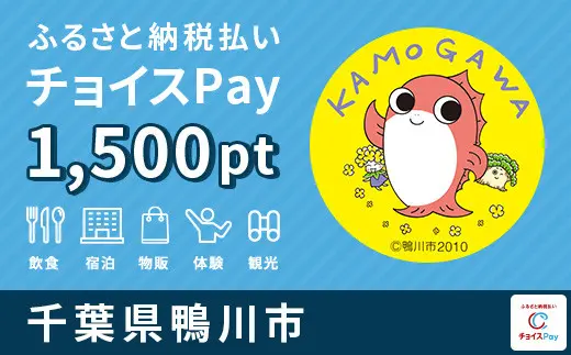 千葉県鴨川市 1,500pt