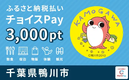 千葉県鴨川市 3,000pt