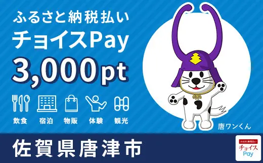 佐賀県唐津市 3,000pt
