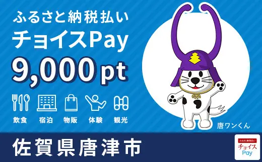 佐賀県唐津市 9,0000pt