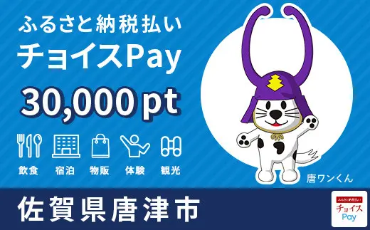 佐賀県唐津市 30,0000pt