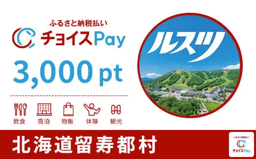 北海道留寿都村 3000pt