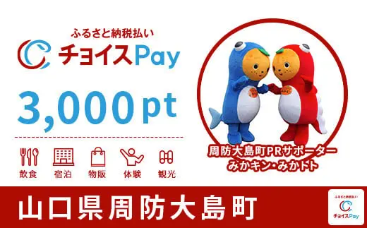 山口県周防大島町 3,0000pt