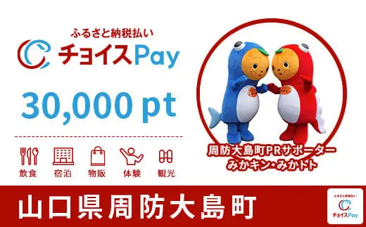 山口県周防大島町 30,000pt