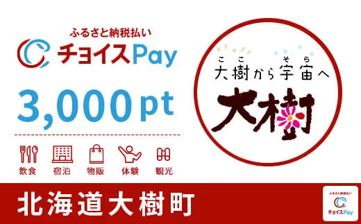北海道大樹町 3000pt