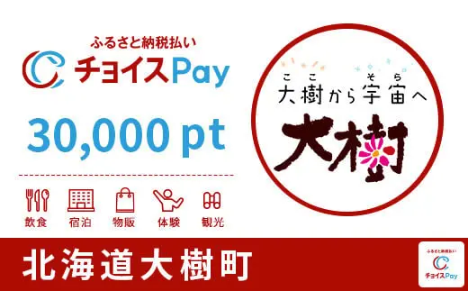 北海道大樹町 15000pt