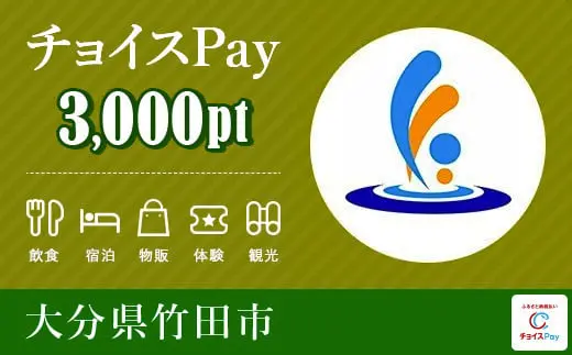大分県竹田市 3000pt