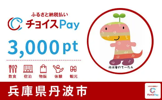 兵庫県丹波市 3,0000pt