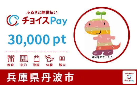 兵庫県丹波市 30,000pt
