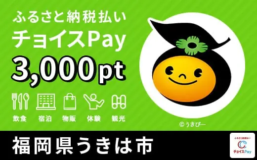 福岡県うきは市 3000pt