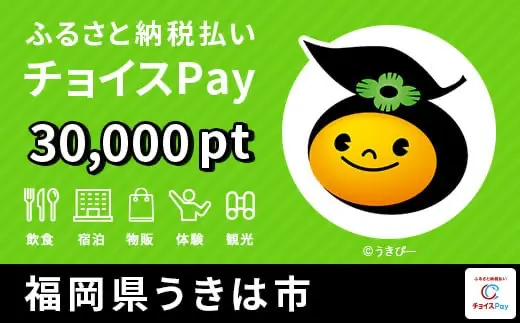 福岡県うきは市 30000pt