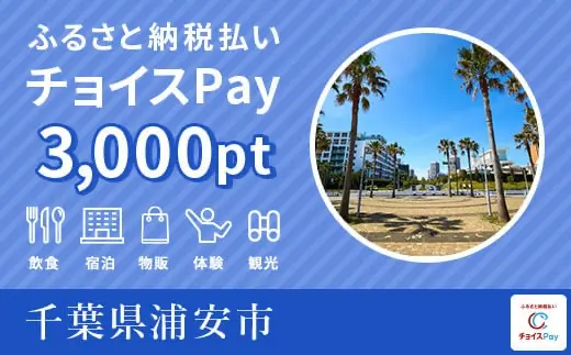 千葉県浦安市 3000pt